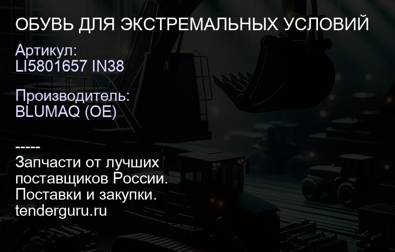 LI5801657 IN38 ОБУВЬ ДЛЯ ЭКСТРЕМАЛЬНЫХ УСЛОВИЙ | купить запчасти